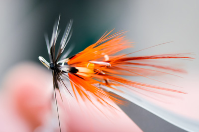 Fly-Fishing-Close-Up-Orange