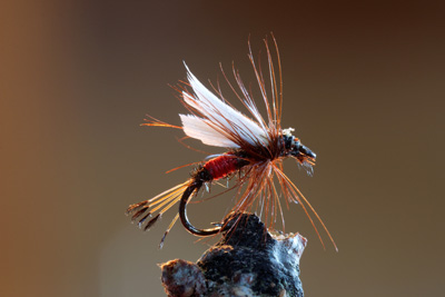 Fly-Fishing-Close-Up