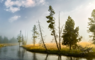Firehole River, Wyoming