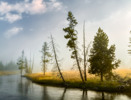 Firehole River, Wyoming