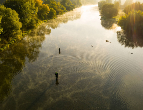 7 Best Drones for Fishing