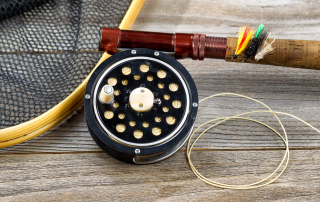Best Fishing Line for Trout
