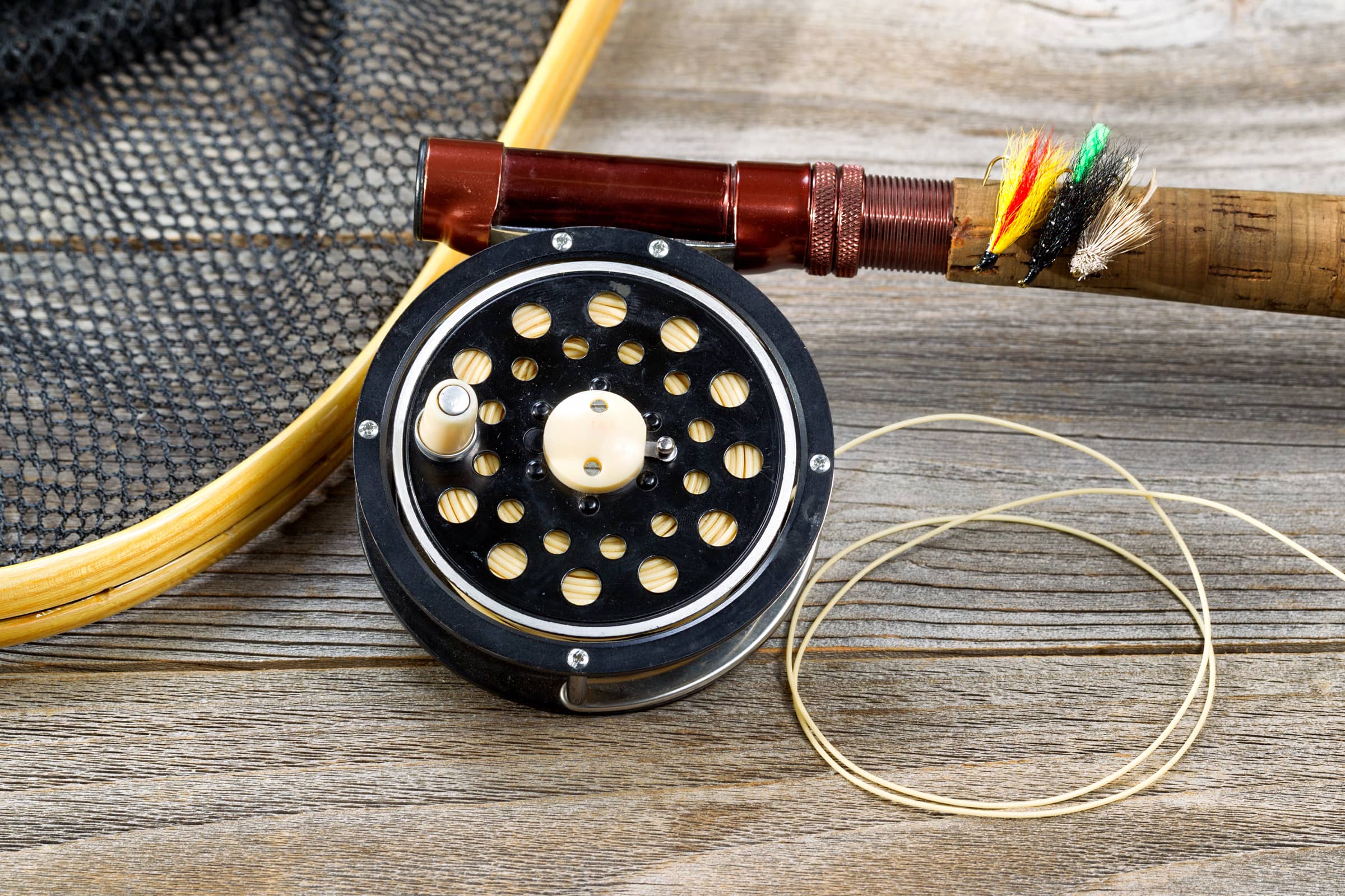 Best Fishing Line for Trout
