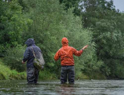 Is Trout Fishing Good After Rain?