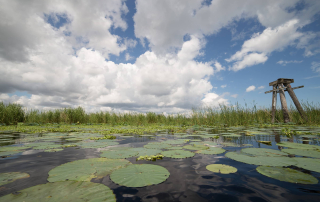 Fishing in Lake Okeechobee