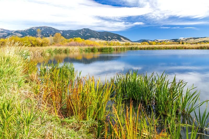 Best Walleye Fishing in Colorado: Cherry Creek Preserve